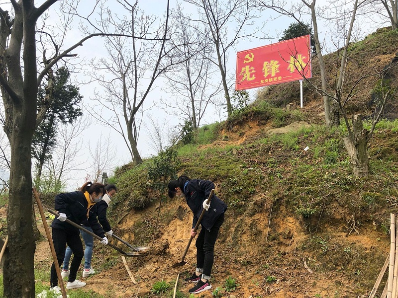 華龍公司開展植樹活動(dòng) 為大自然添新綠